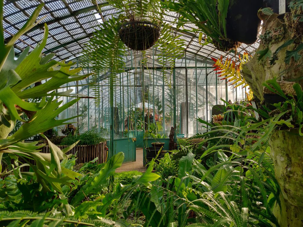 Paris The Auteuil Greenhouses The Other Paths