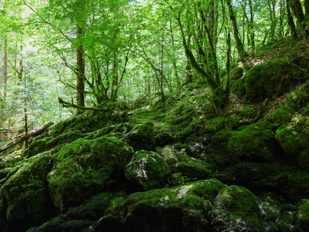 mer de rochers - la cascade du Pissieu