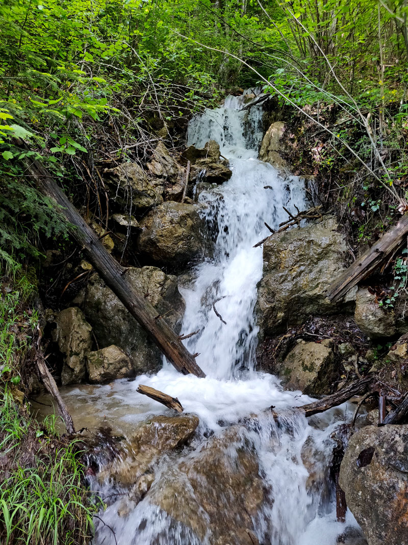 Auberge Des Cascades La Balme De Thuy
