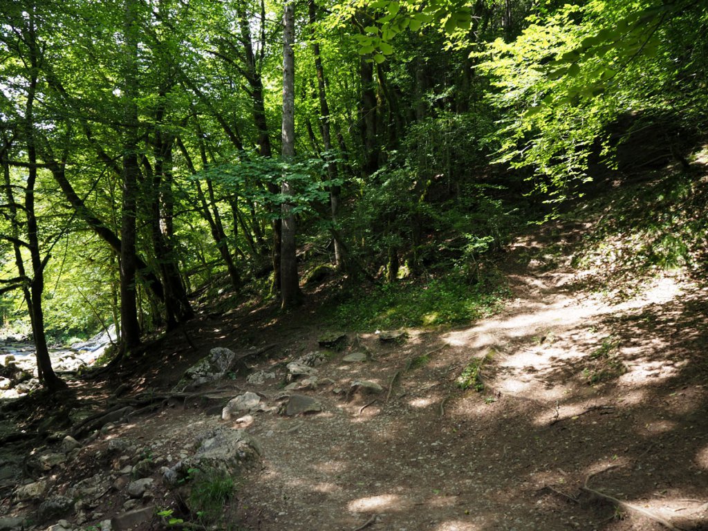 Petite sentier pour rejoindre le haut de la cascade du Pissieu