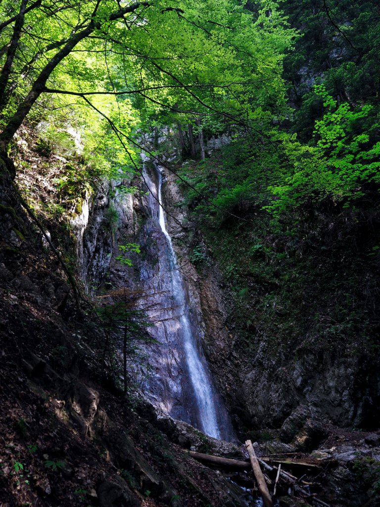 The Dard and Nantisses waterfalls in Summer