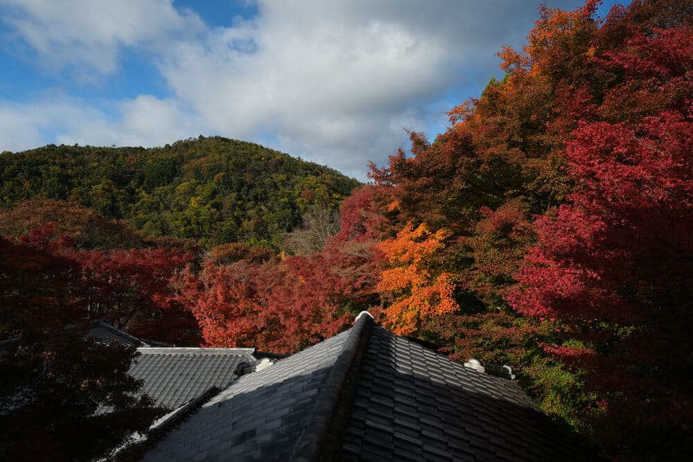 Vue sur les toits du temple de Rurikoin et de la vegetation aux couleur d'automne