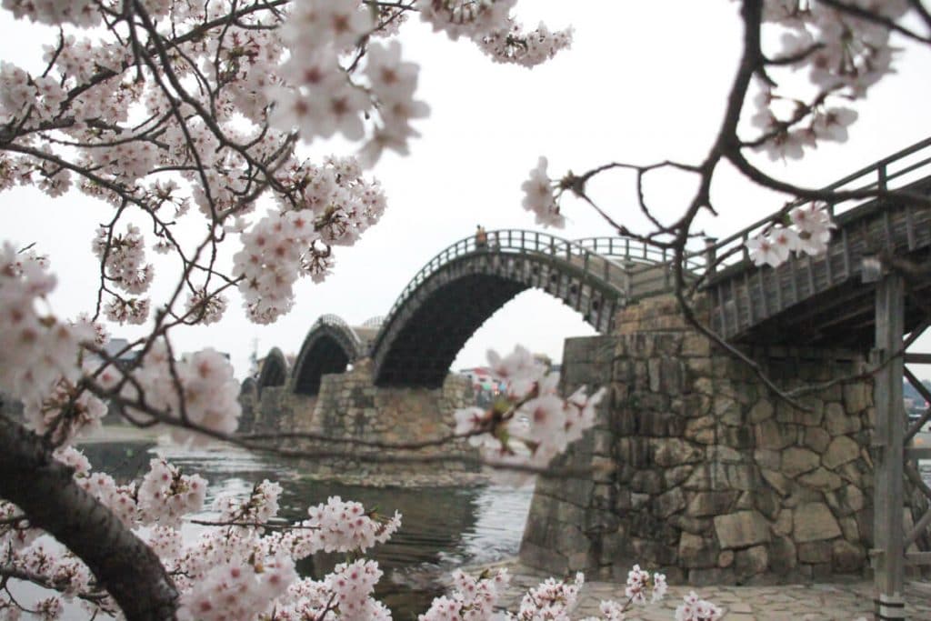 Le joli pont d'Iwakuni derrière les cerisiers en fleurs
