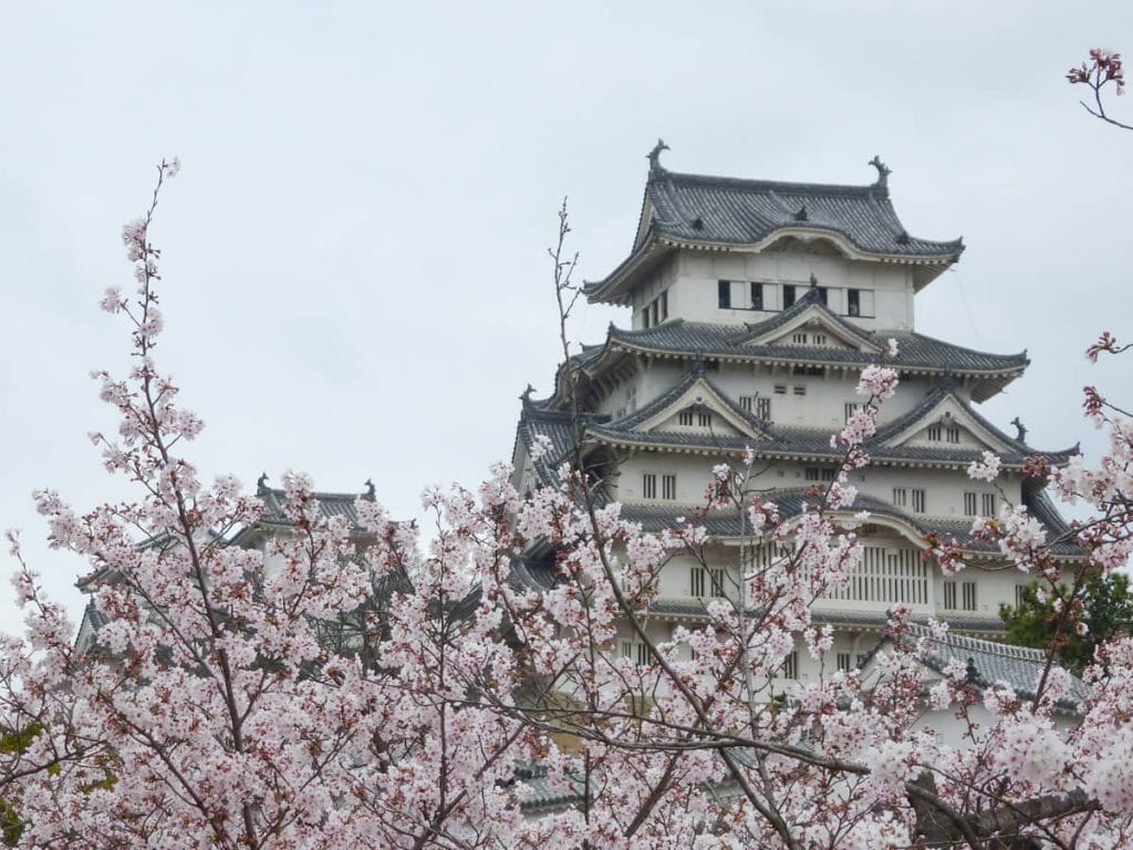 Le printemps dans l'ouest du Japon: cerisiers en fleurs devant le chateau d'Himeji