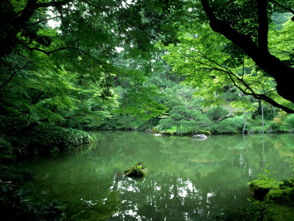 étang dans le parc du temple de Narita san Shinsho-ji