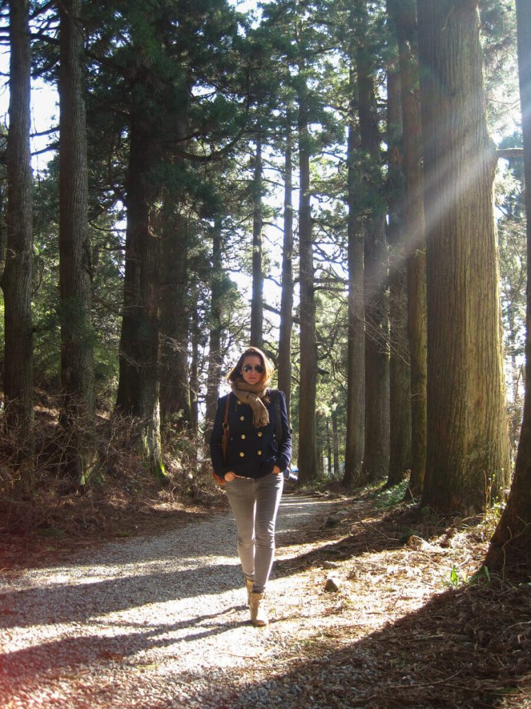 avenue des cèdres, Hakone