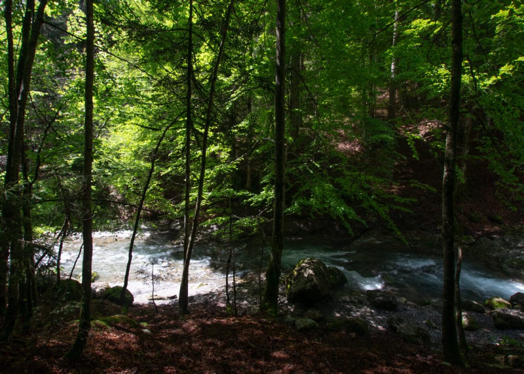 Le torrent du Chinaillon en bas de la cascade Mystérieuse