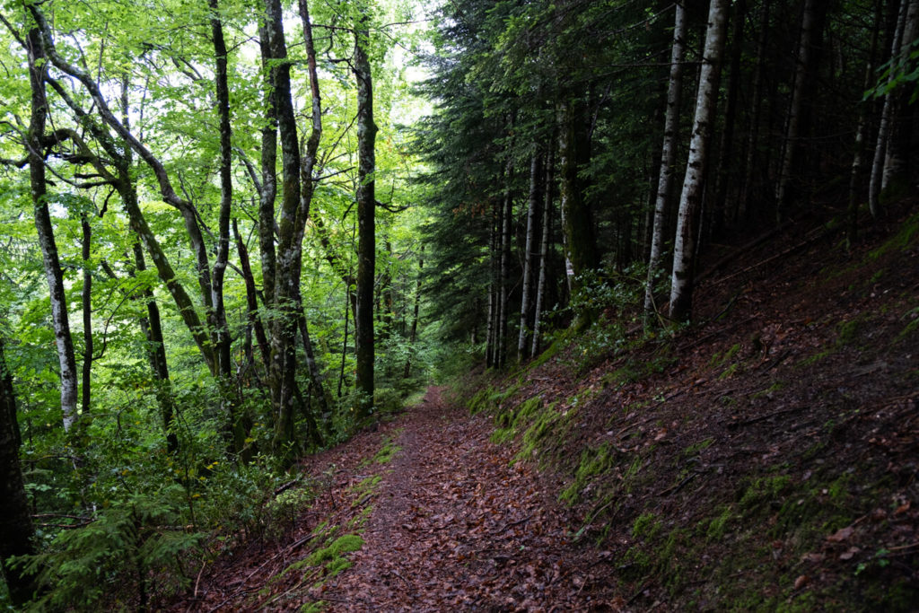 sentier pour rejoindre le haut de la cascade de Fontany