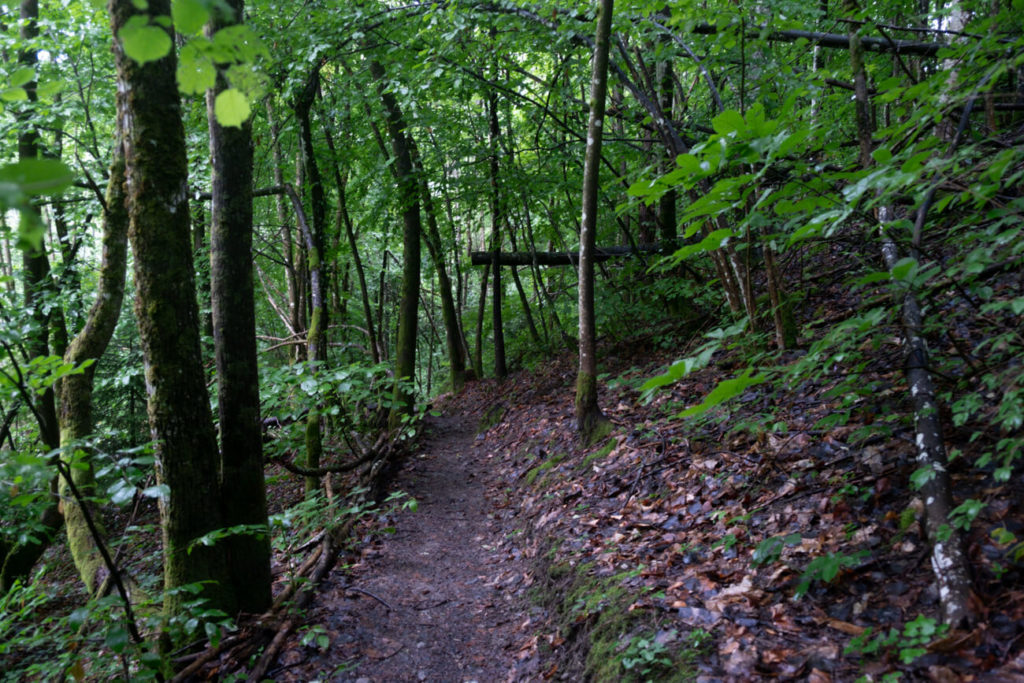 Le sentier donnant accès à la cascade de Fontany 