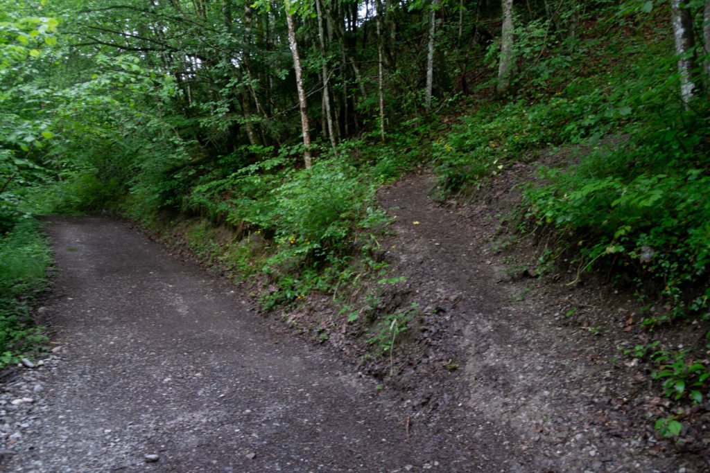 La bifurcation du sentier