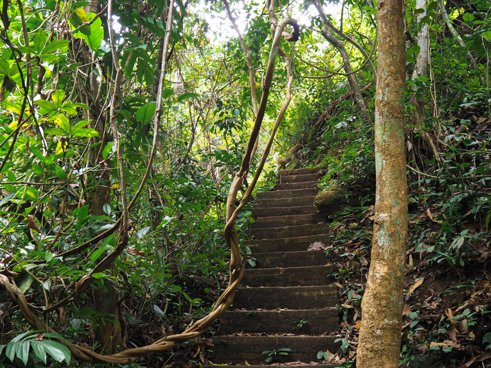 sentier/escalier montant aux cascades de Thad Thong