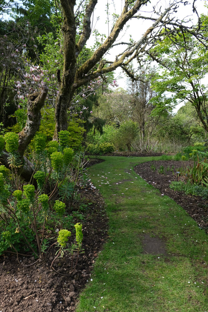 jardins du Castle Kennedy Ayrshire
