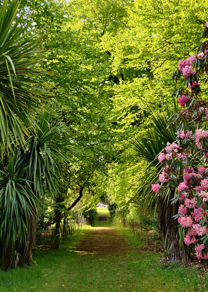 jardins du Castle Kennedy Ayrshire en Ecosse