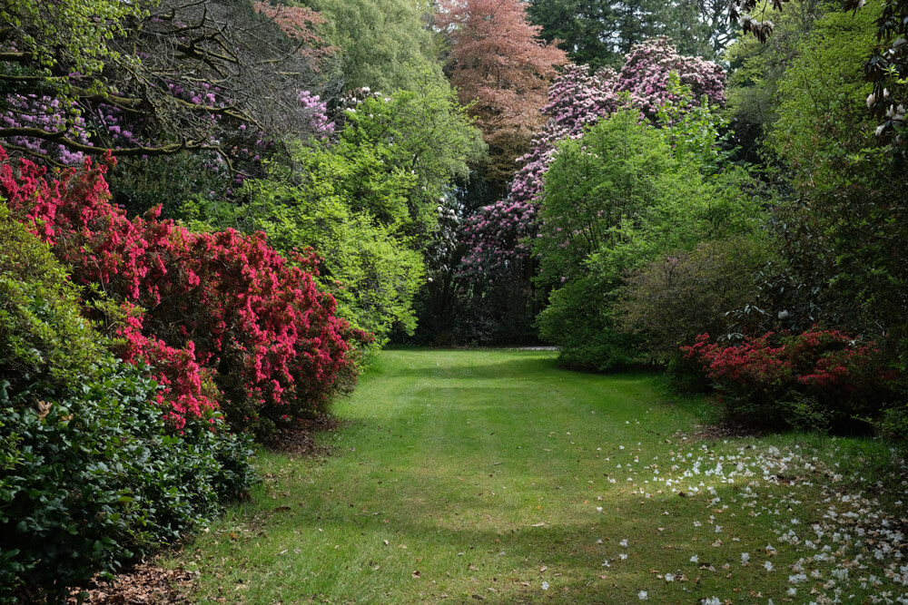 jardins du Castle Kennedy Ayrshire