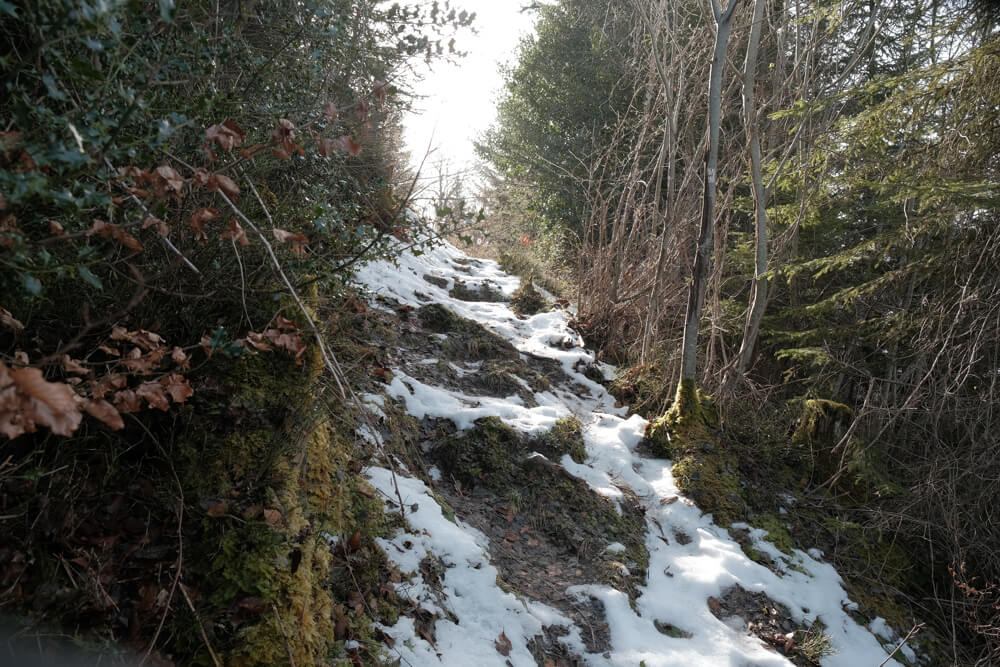 le sentier enneigé de la cascade de Montviard