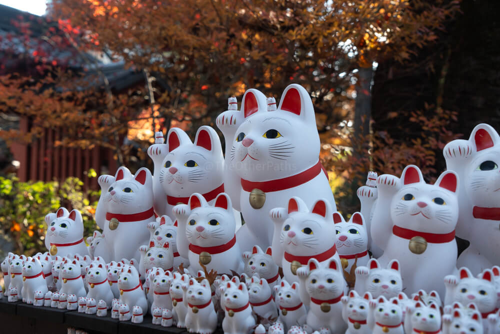 Gotokuji: Tokyo's lucky cat temple | The Other Paths